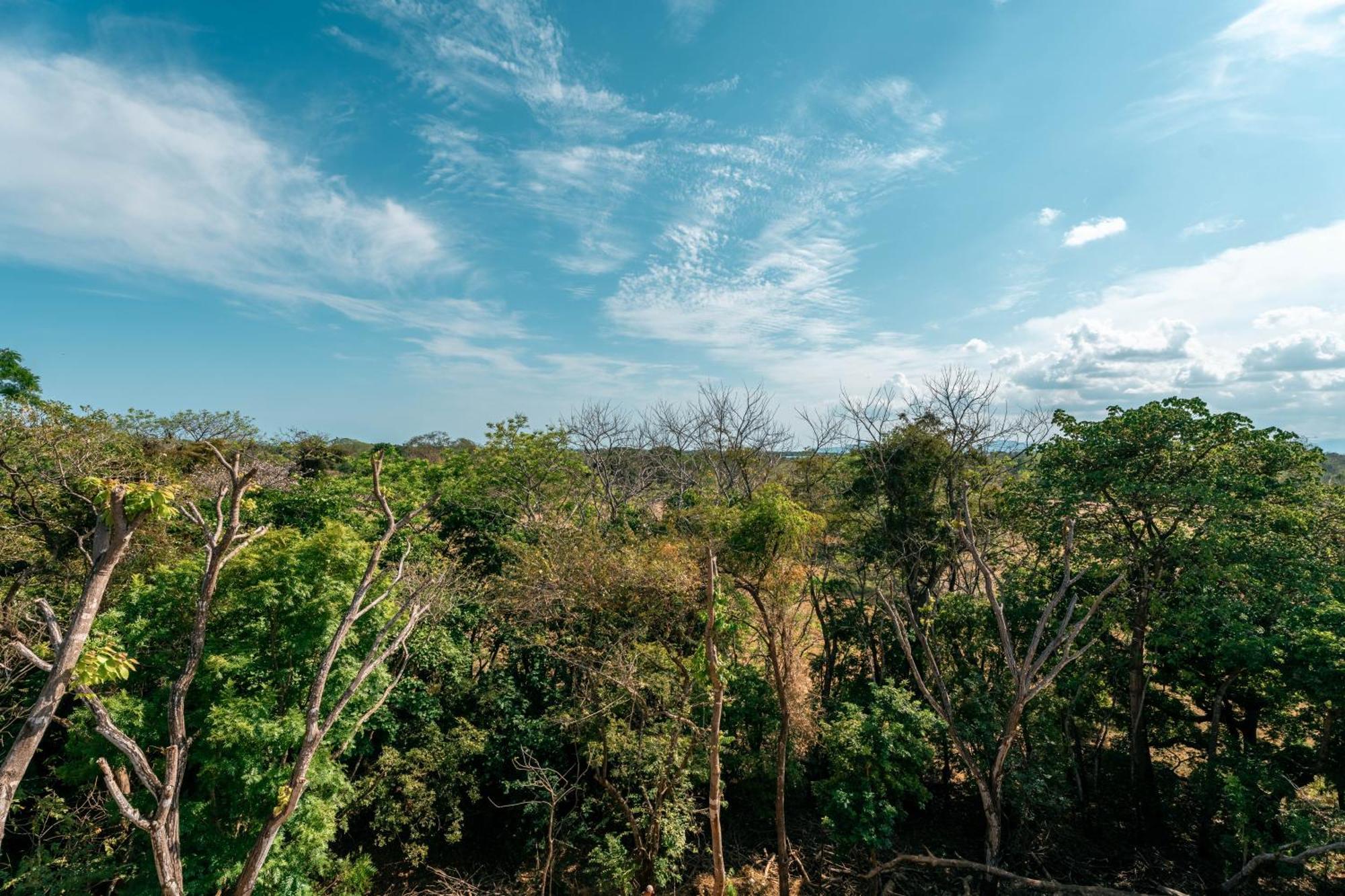 Hotel Alaya Yoga & Surf & Retreat Playa Venao Exterior foto